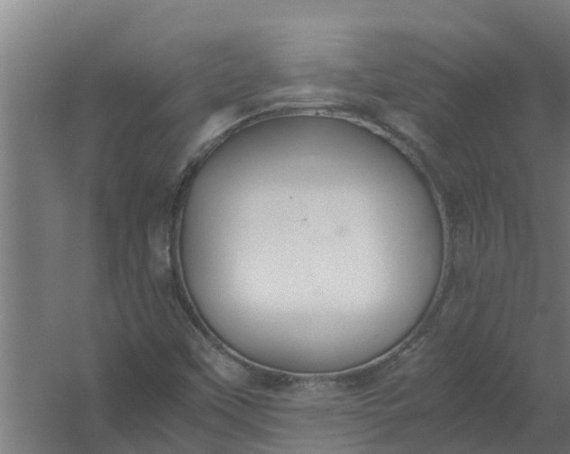 X0000059801451200511041614