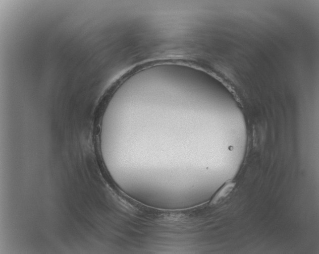 X0000059801452200511041614