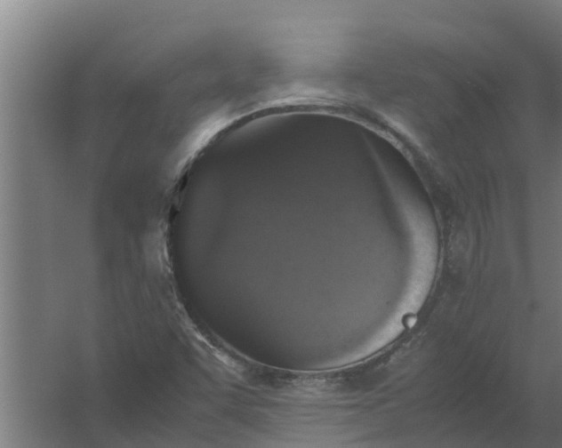 X0000059801455200511041614