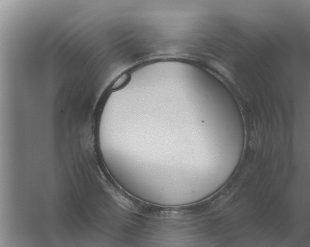 X0000059801458200511041614