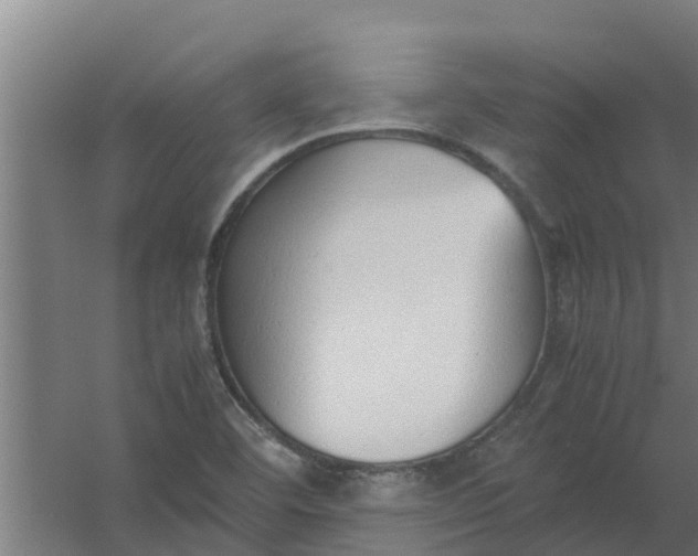 X0000059801460200511041614