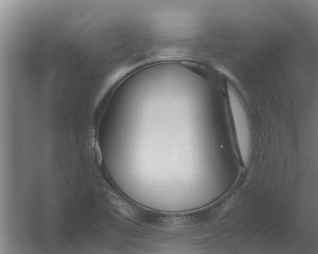 X0000059801461200511041614