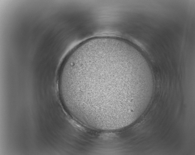 X0000059801462200511041614