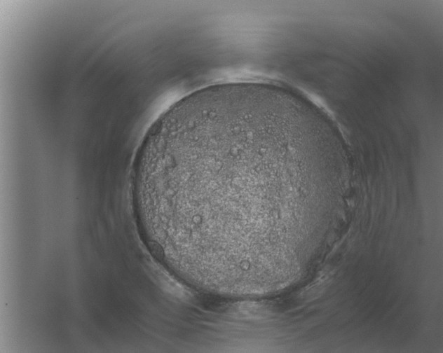 X0000059801463200511041614