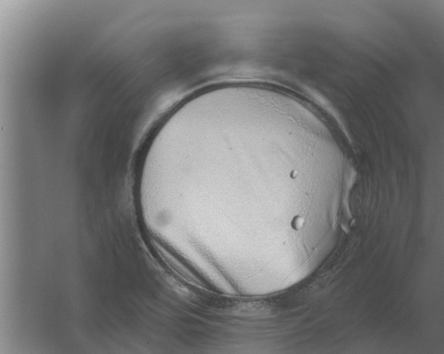 X0000059801464200511041614