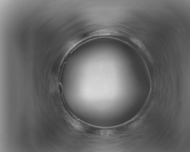 X0000059801465200511041614