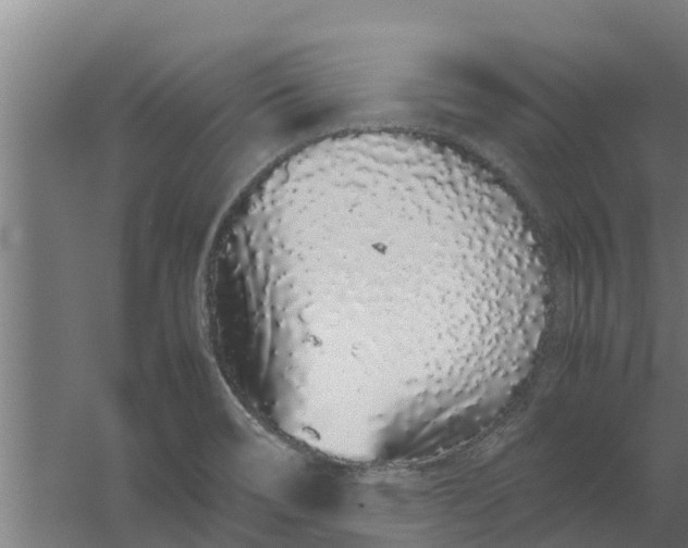 X0000059801466200511041614