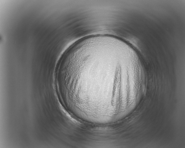 X0000059801468200511041614