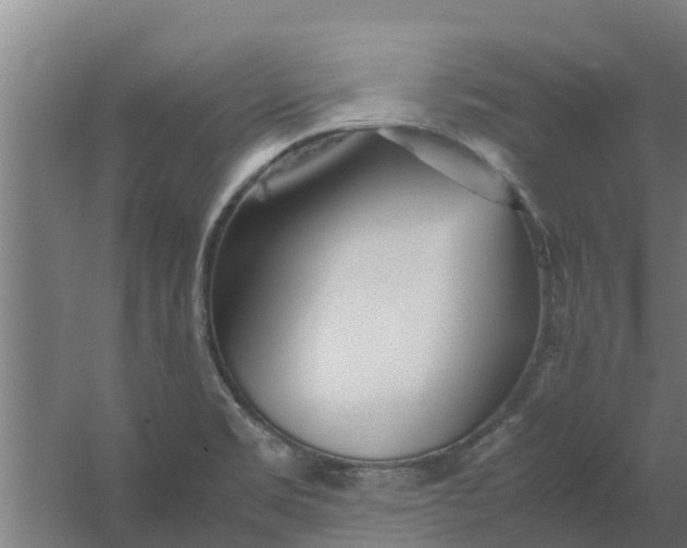 X0000059801469200511041614