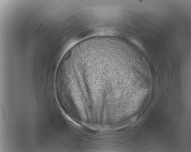 X0000059801471200511041614