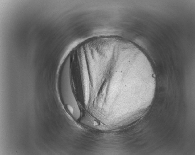 X0000059801472200511041614