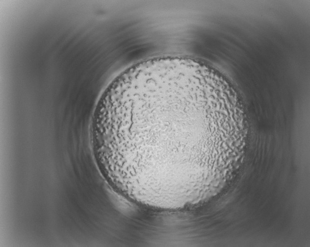 X0000059801474200511041614