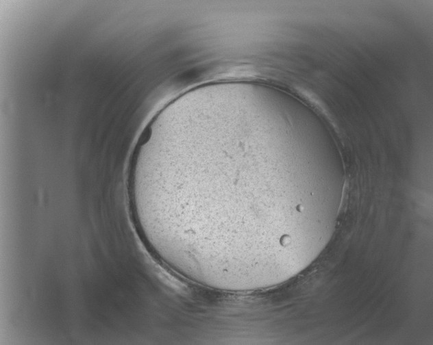 X0000059801475200511041614