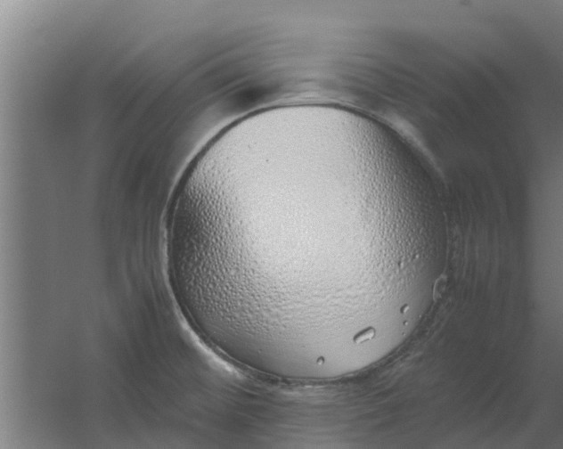 X0000059801476200511041614