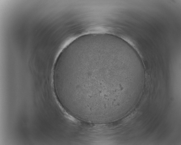 X0000059801477200511041614