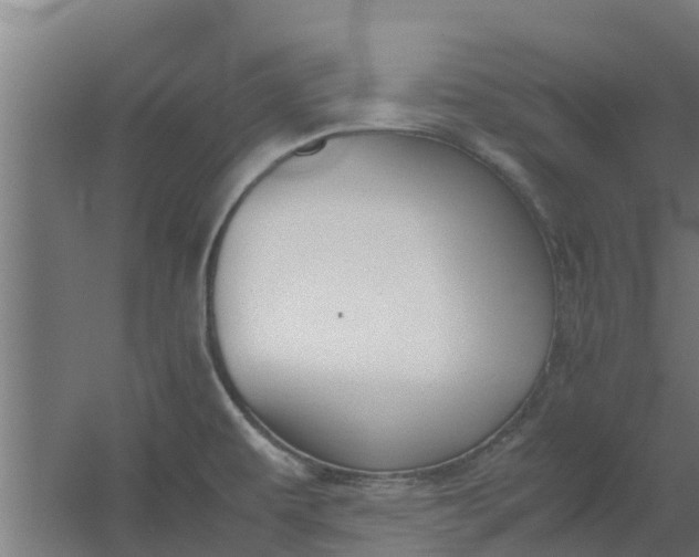 X0000059801479200511041614