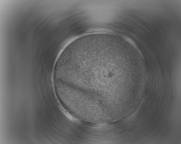 X0000059801482200511041614