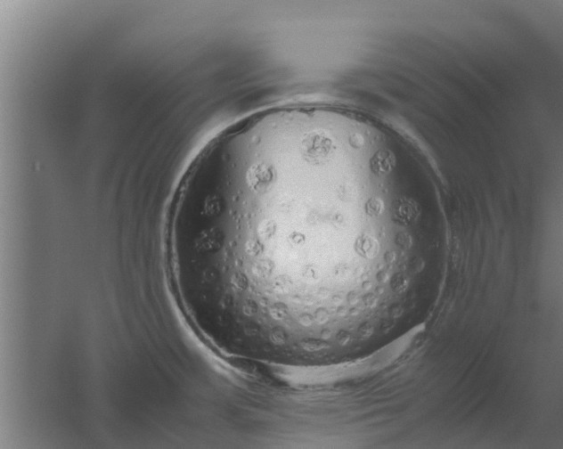 X0000059801483200511041614