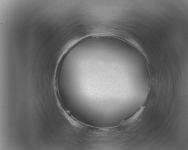 X0000059801485200511041614