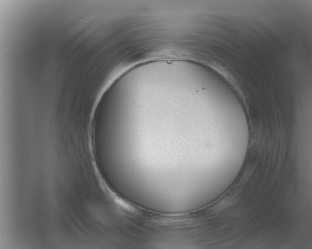 X0000059801486200511041614