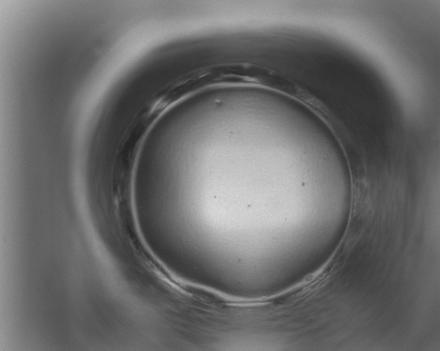 X0000059801487200511041614