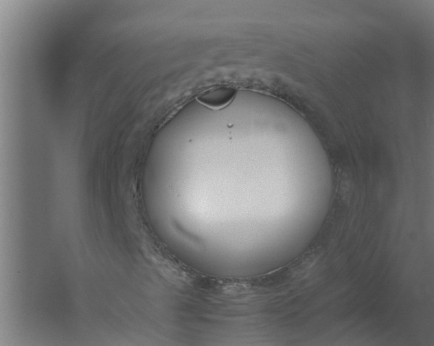 X0000059801489200511041613