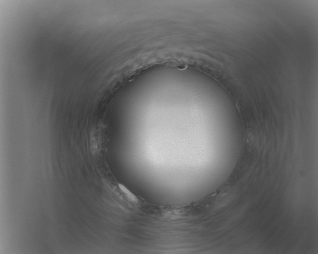 X0000059801490200511041613