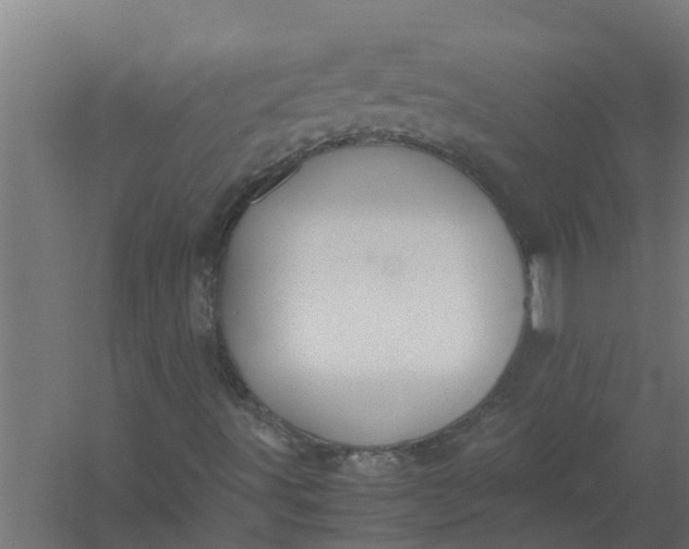 X0000059801491200511041613