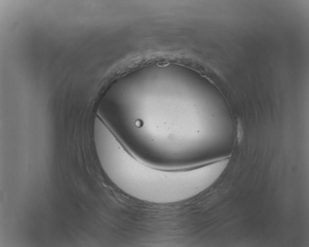 X0000059801492200511041613