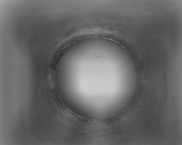 X0000059801493200511041613