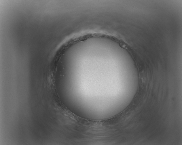 X0000059801495200511041613