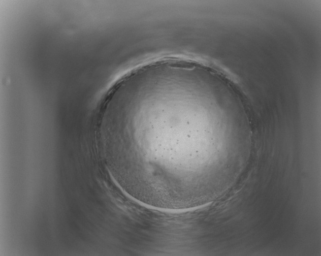 X0000059801496200511041613