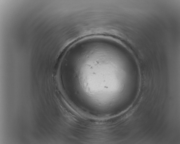 X0000059801497200511041613