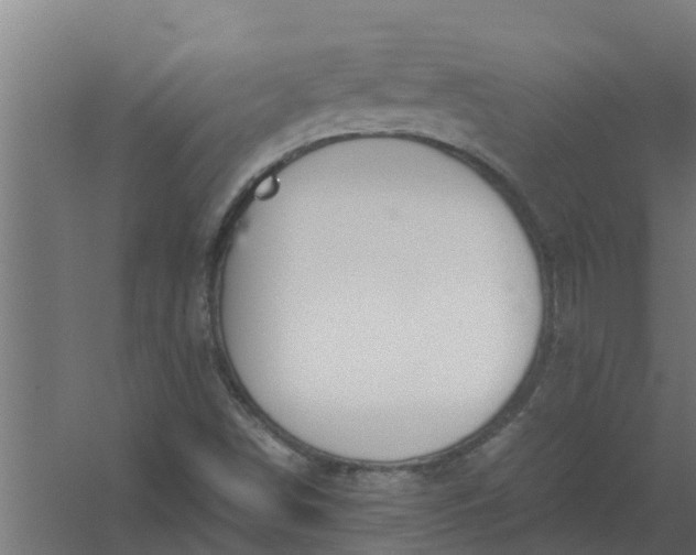 X0000059801498200511041613