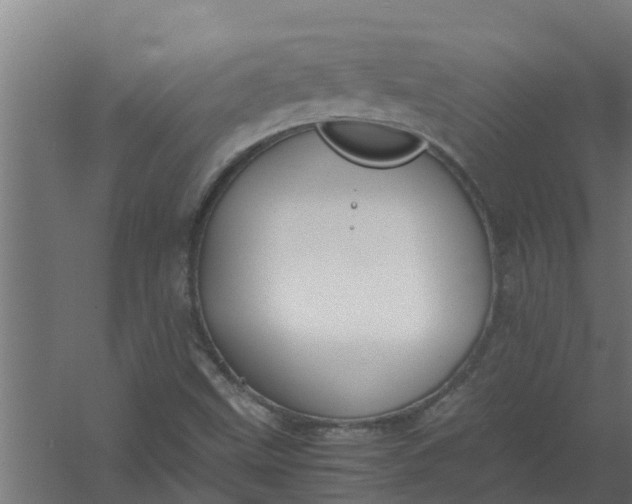 X0000059801499200511041613