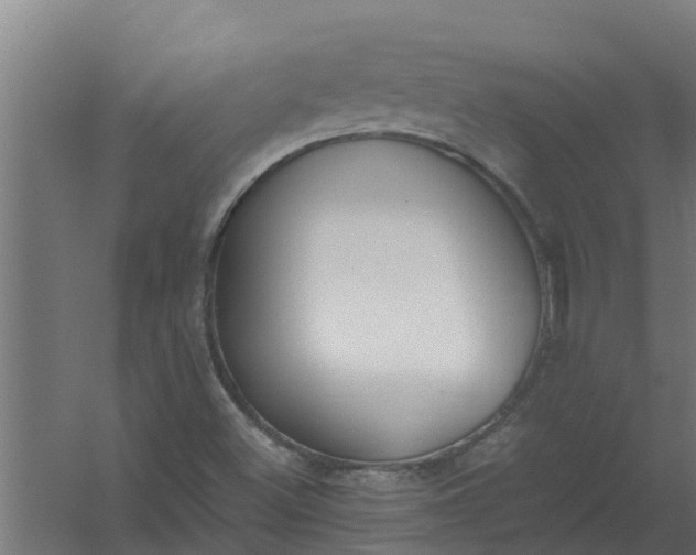 X0000059801500200511041613