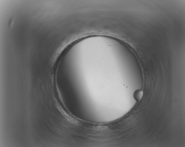 X0000059801503200511041613