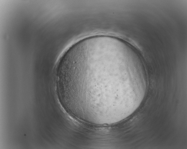 X0000059801504200511041613