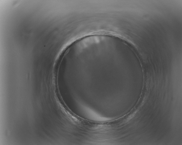 X0000059801506200511041613