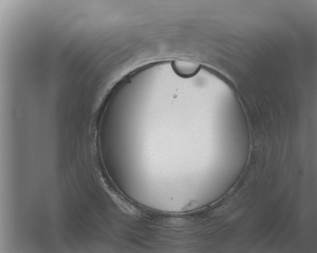 X0000059801507200511041613