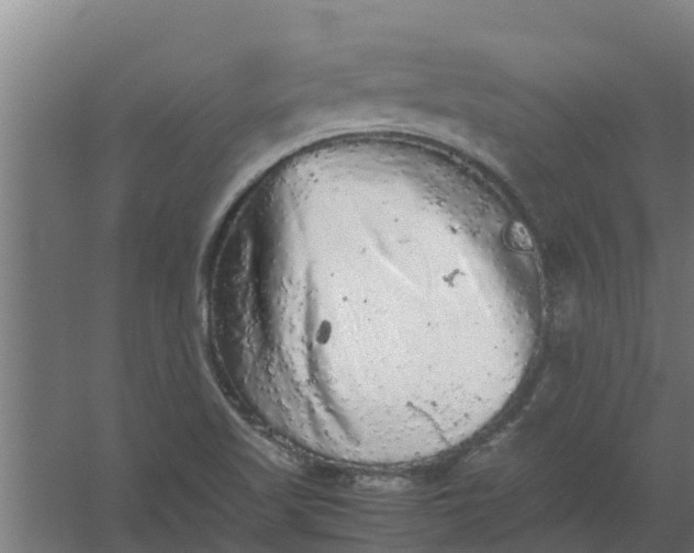 X0000059801509200511041613