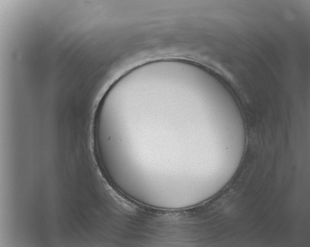 X0000059801512200511041613