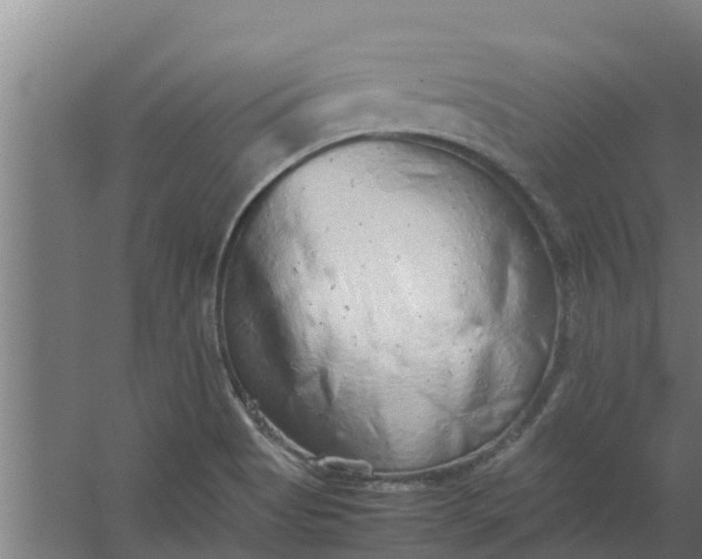 X0000059801513200511041613