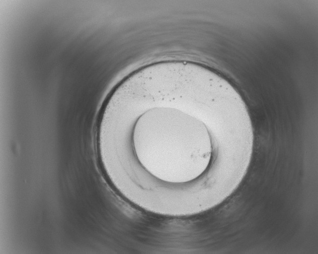 X0000059801514200511041613