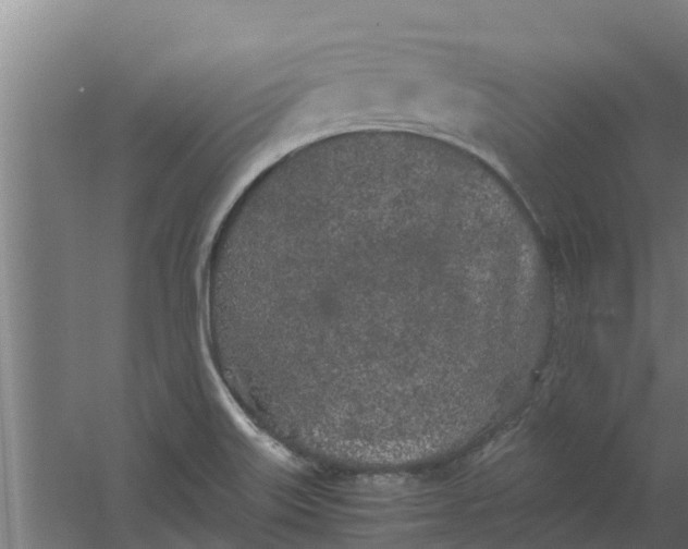 X0000059801515200511041613