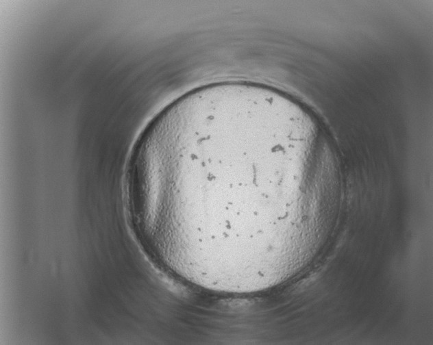 X0000059801517200511041613