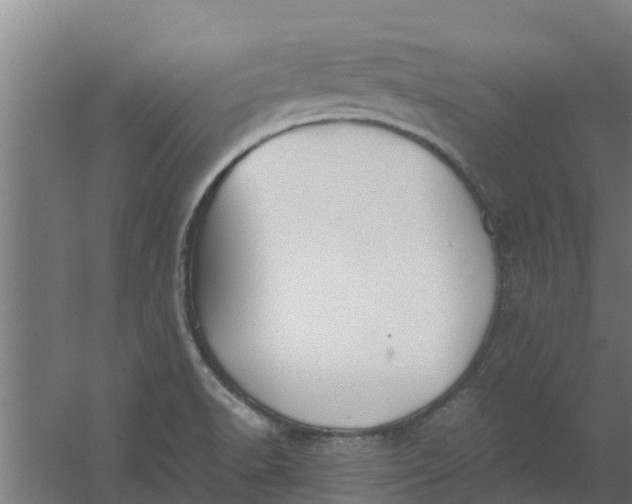 X0000059801518200511041613