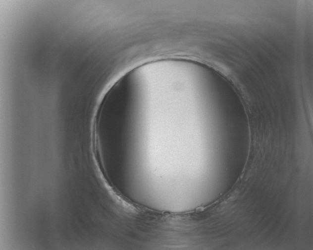 X0000059801520200511041613