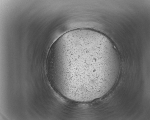 X0000059801521200511041613