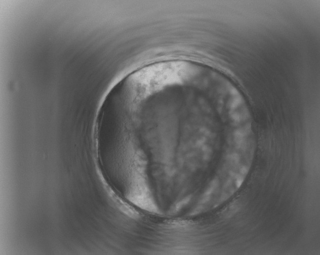 X0000059801522200511041613